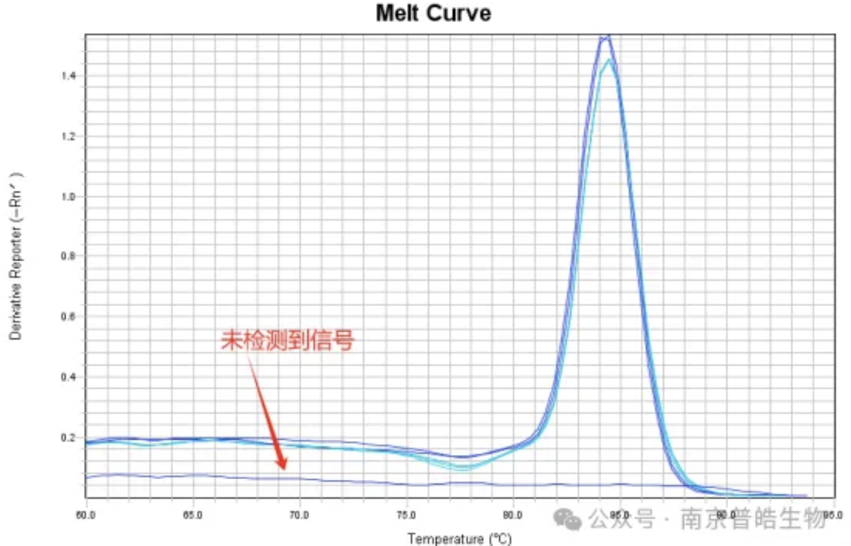 qPCR常见问题及解决攻略